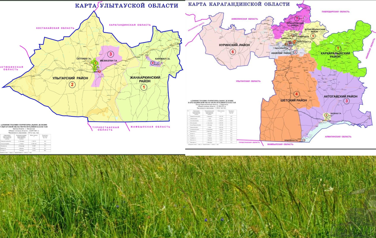 Улытауская область карта