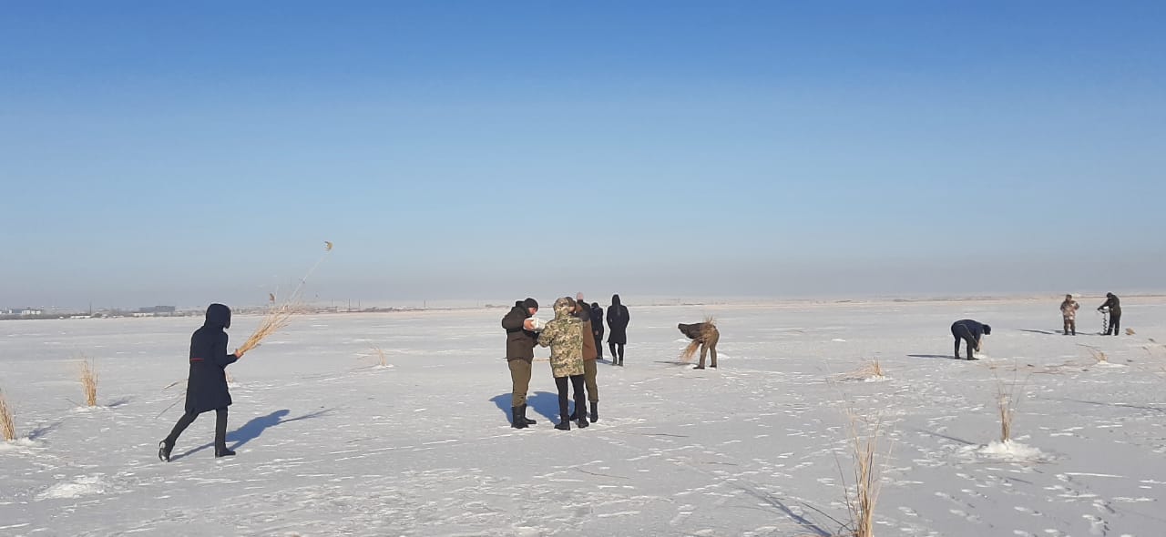 Водоемы карагандинской